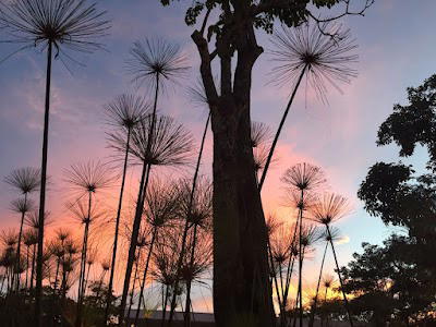 Condominio Natura Park