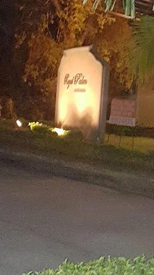 Royal Palm