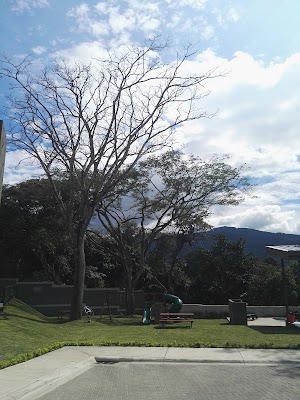 Condominio Kuora