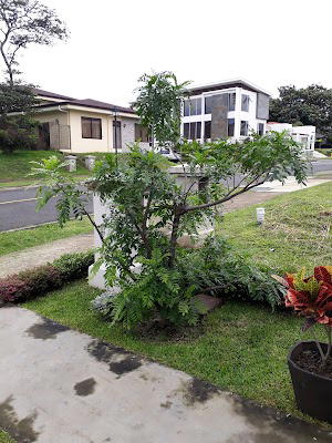 Condominio Tierras del Café