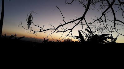 Milenia