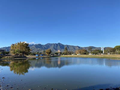 Torres del Parque
