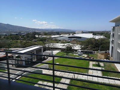 Urban flats