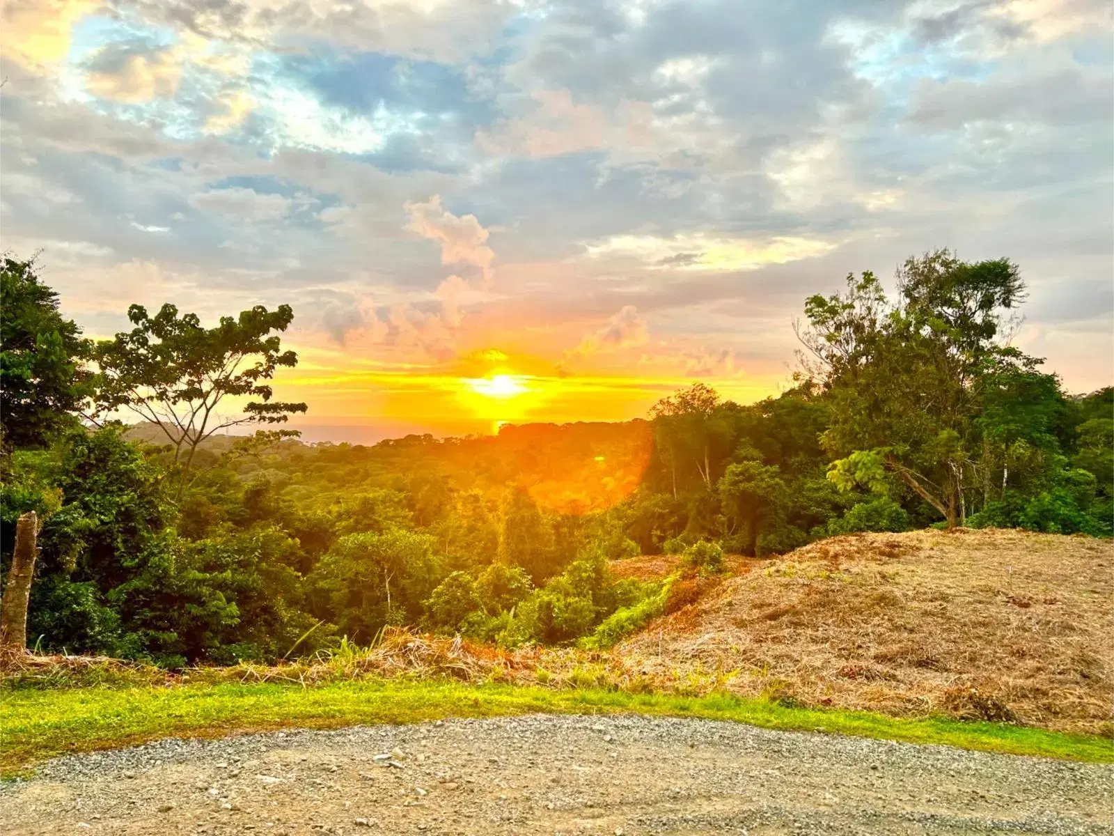 Land at Bahía Ballena