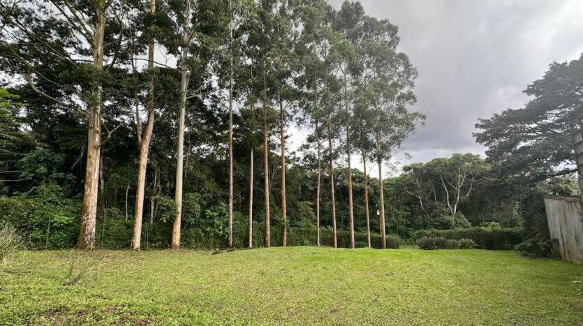 Terreno en Tres Ríos