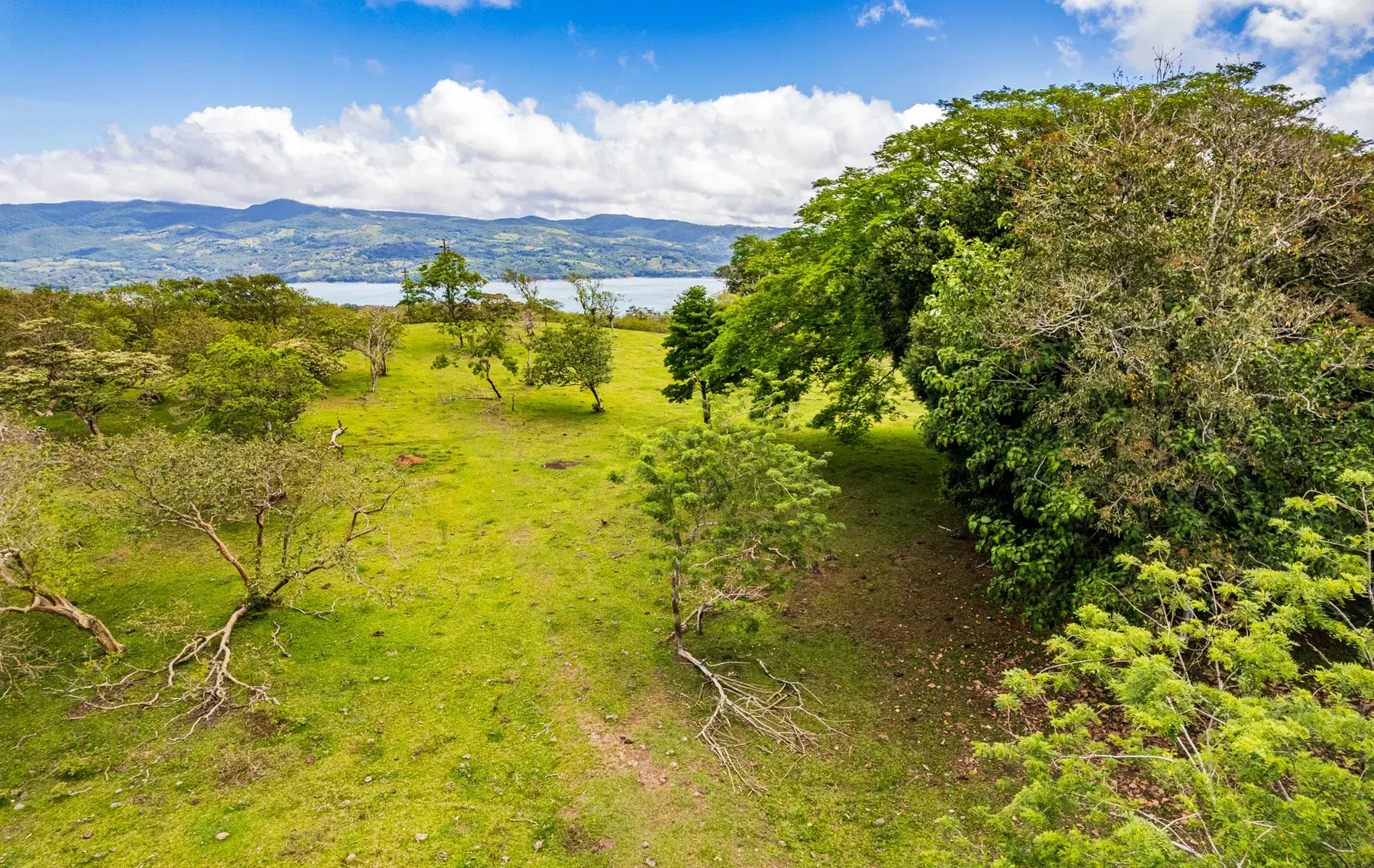 Land at Santa Rosa