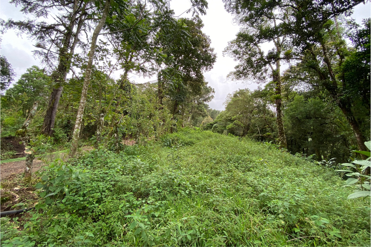 Land at Alajuela