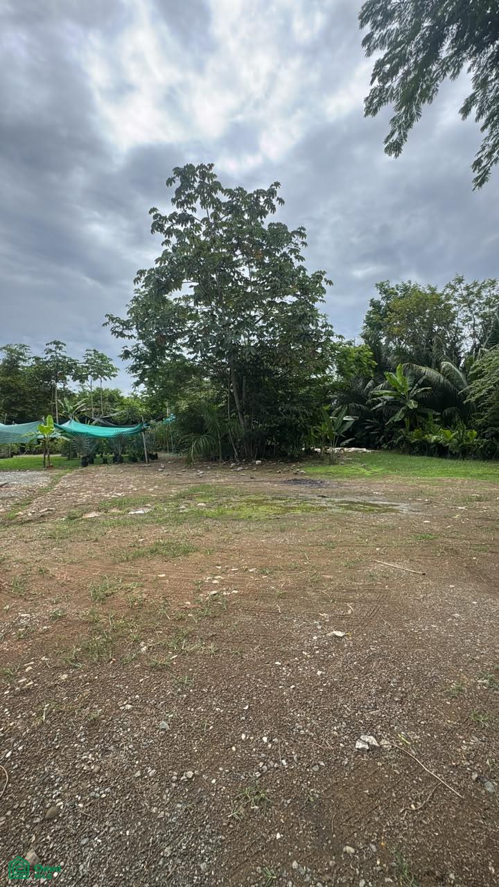 Terreno en Bahía Ballena
