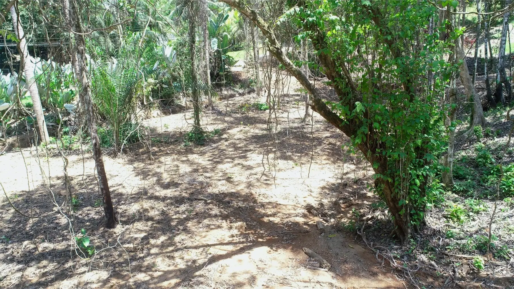 Terreno en Puerto Cortés