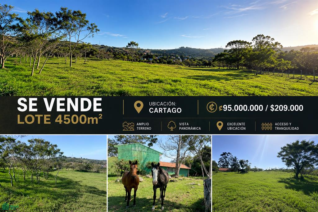 Terreno en San Blas