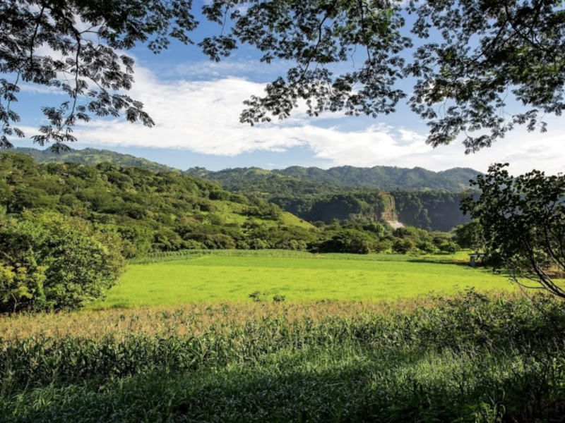 Comercial en Picagres