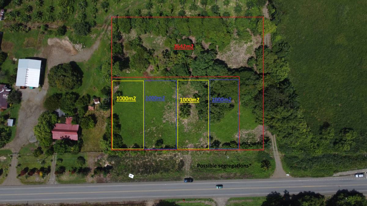 Property at Savegre