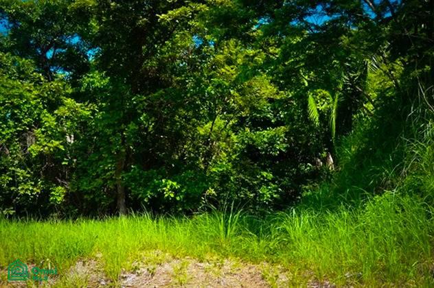 Land at Bejuco