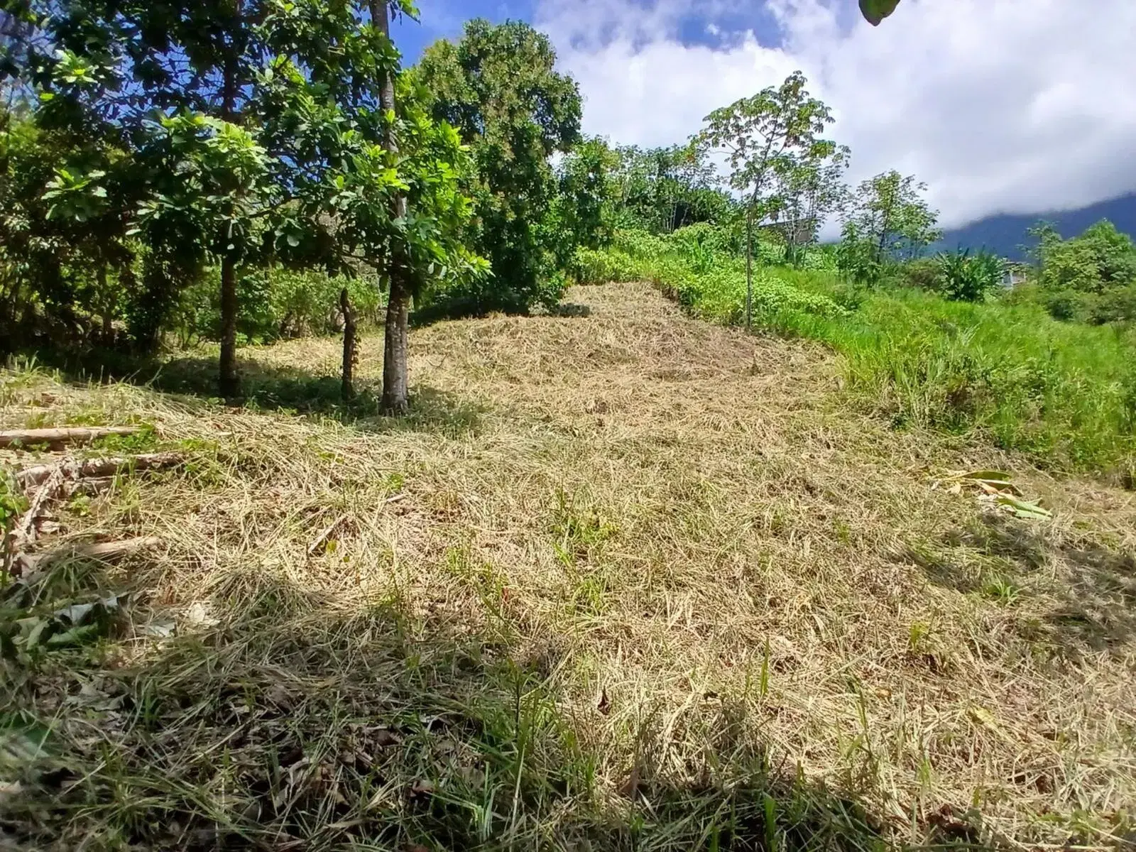 Terreno en Puerto Cortés