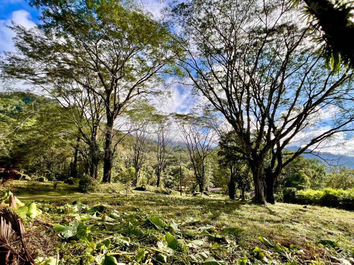 Finca en Ojochal
