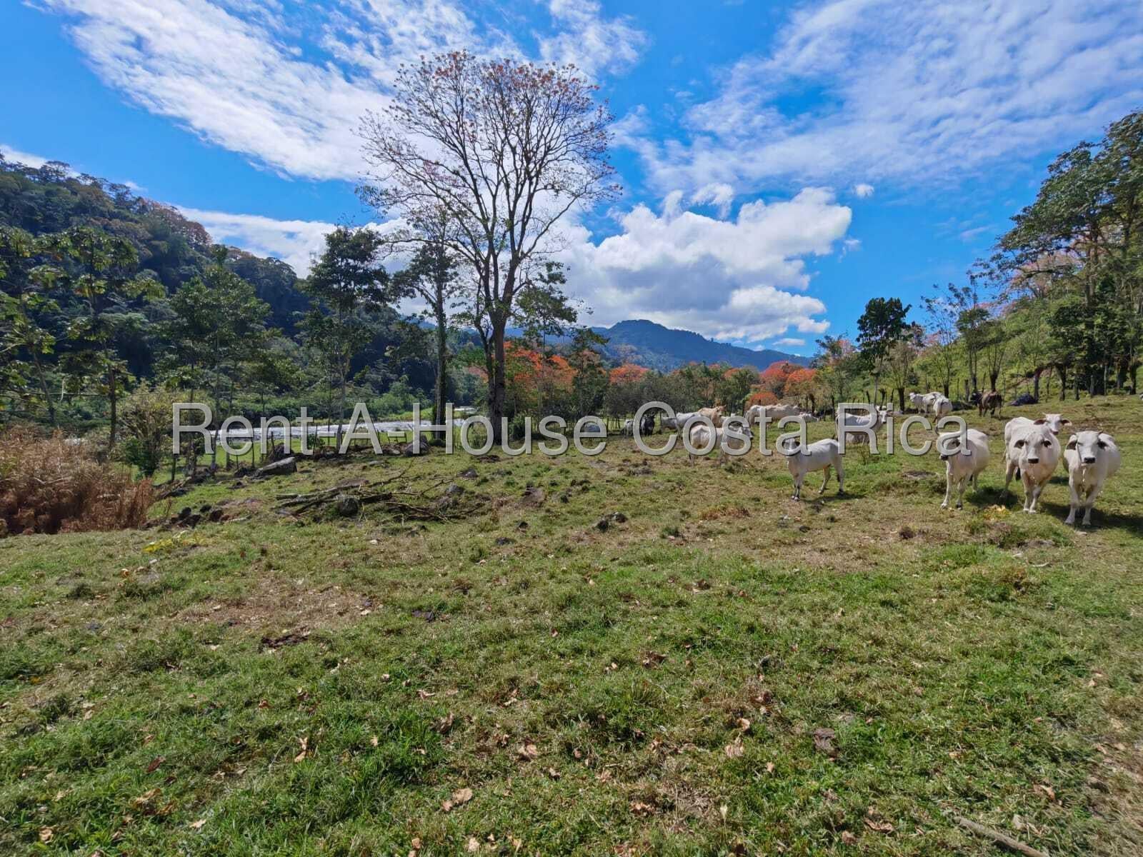 Propiedad en Turrialba