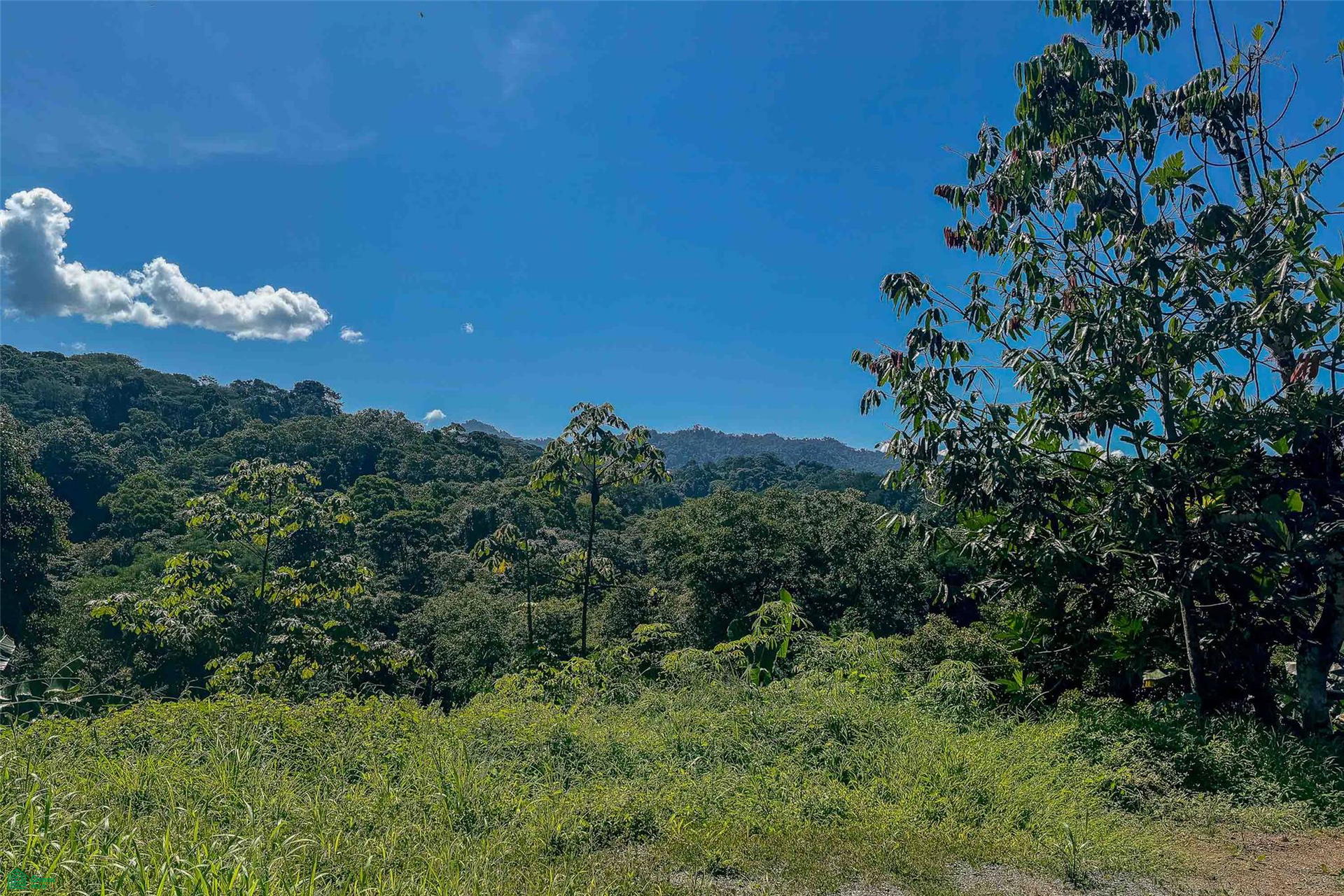 Propiedad en Quepos