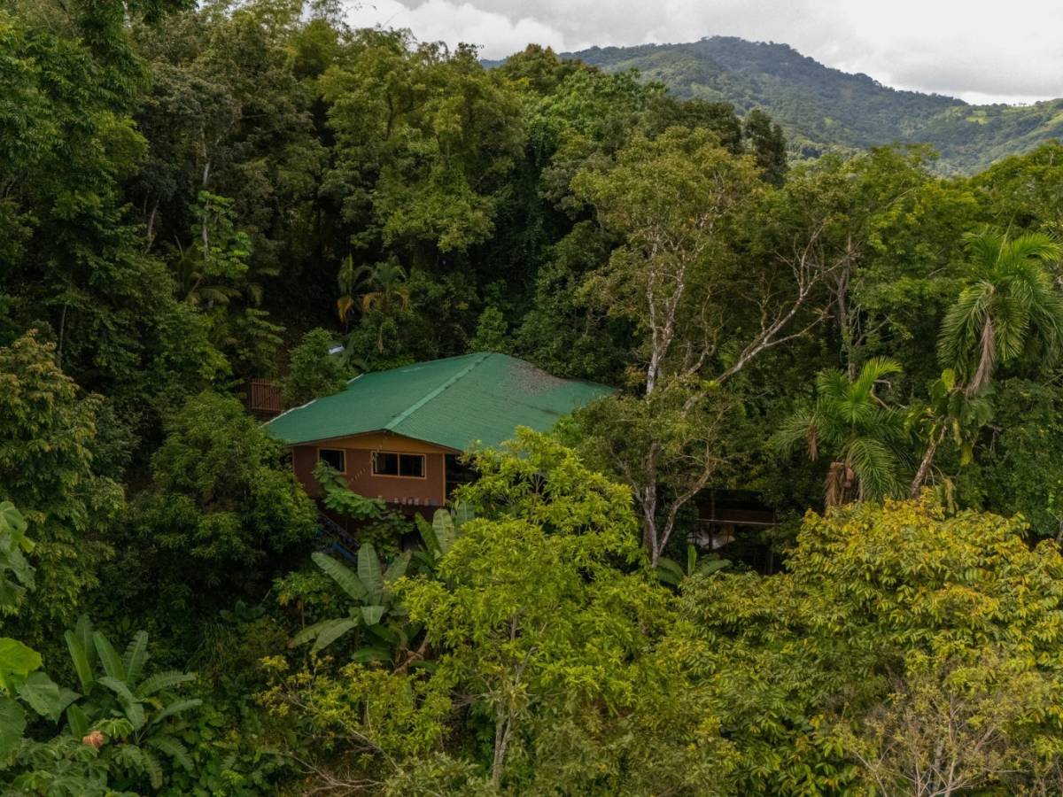 House at Barú