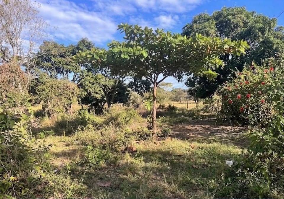 Terreno en Sardinal