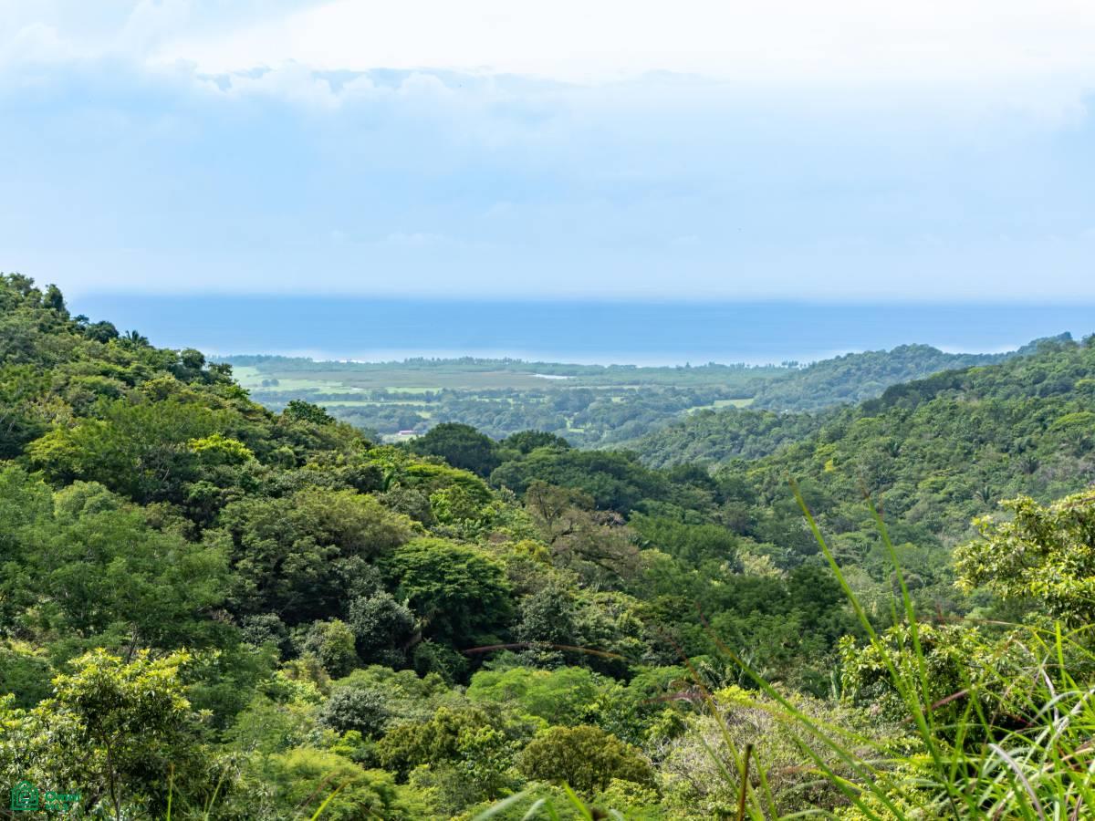 Propiedad en Punta Bejuco