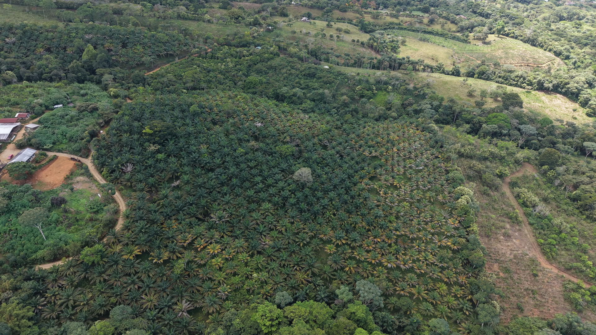 Land at San Pedro