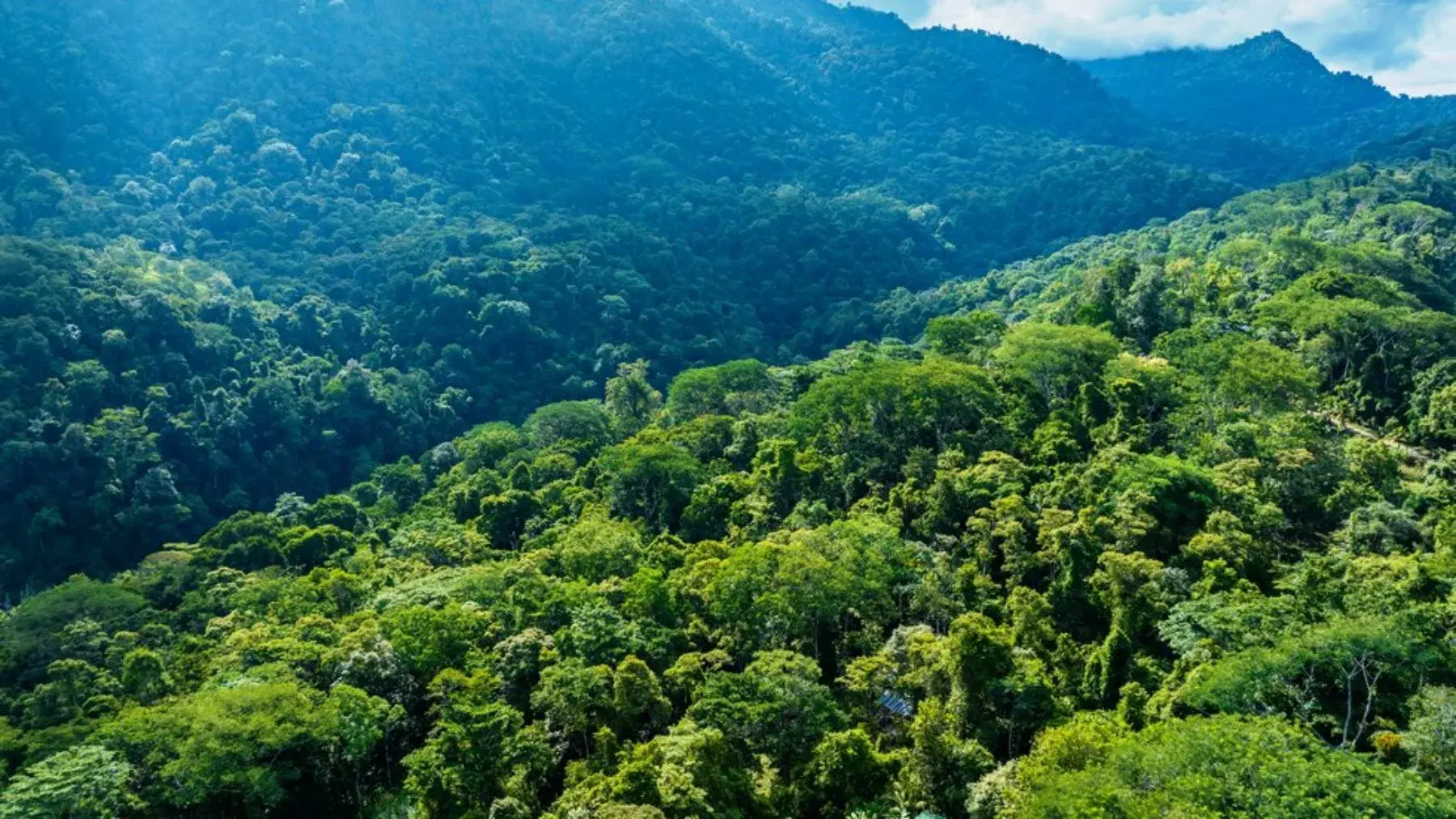 Terreno en Bahía Ballena
