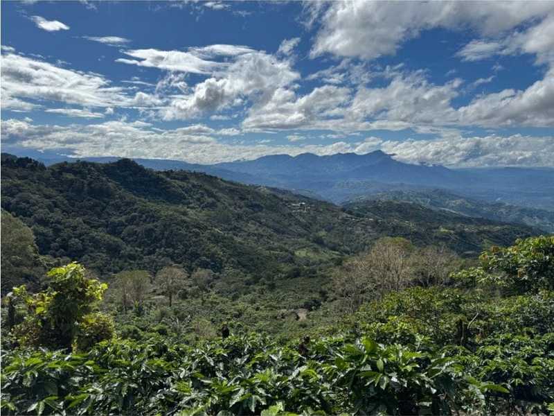 Terreno en Alajuela