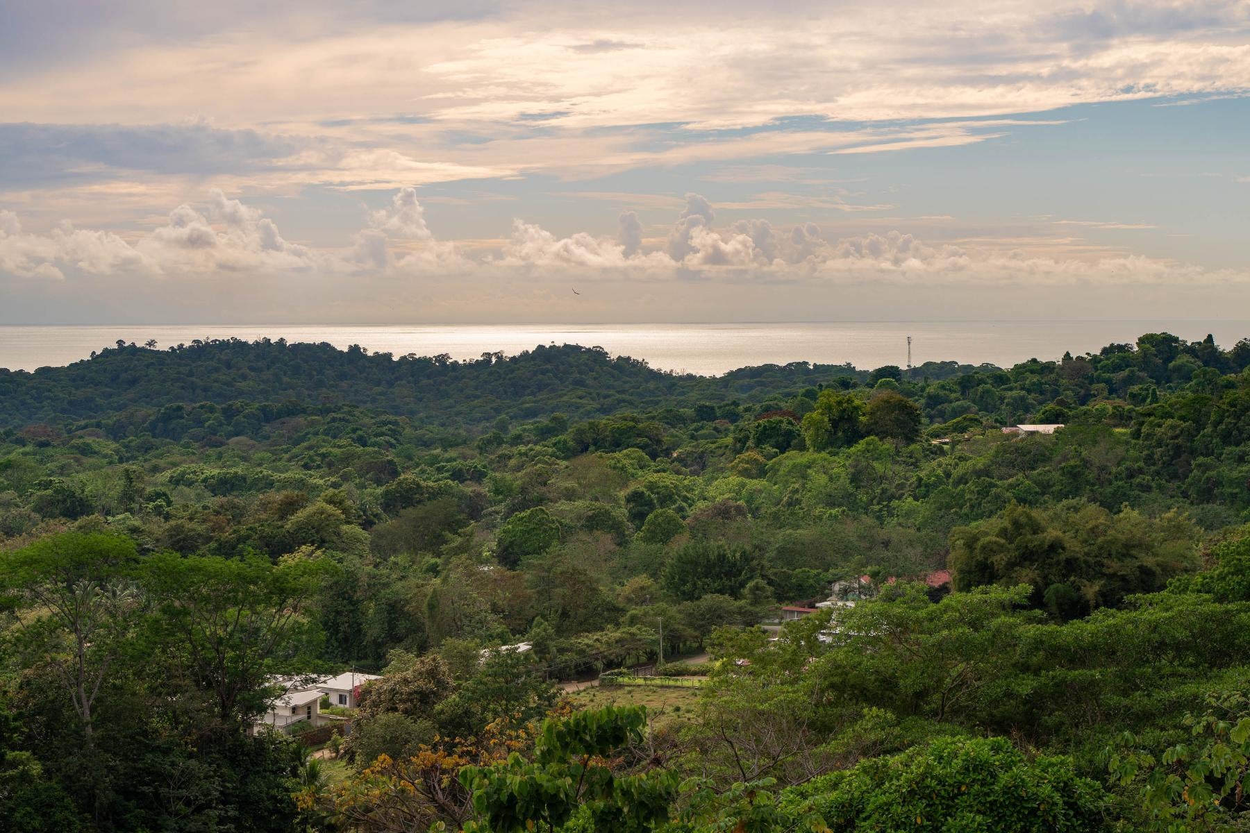 House at Bahía Ballena