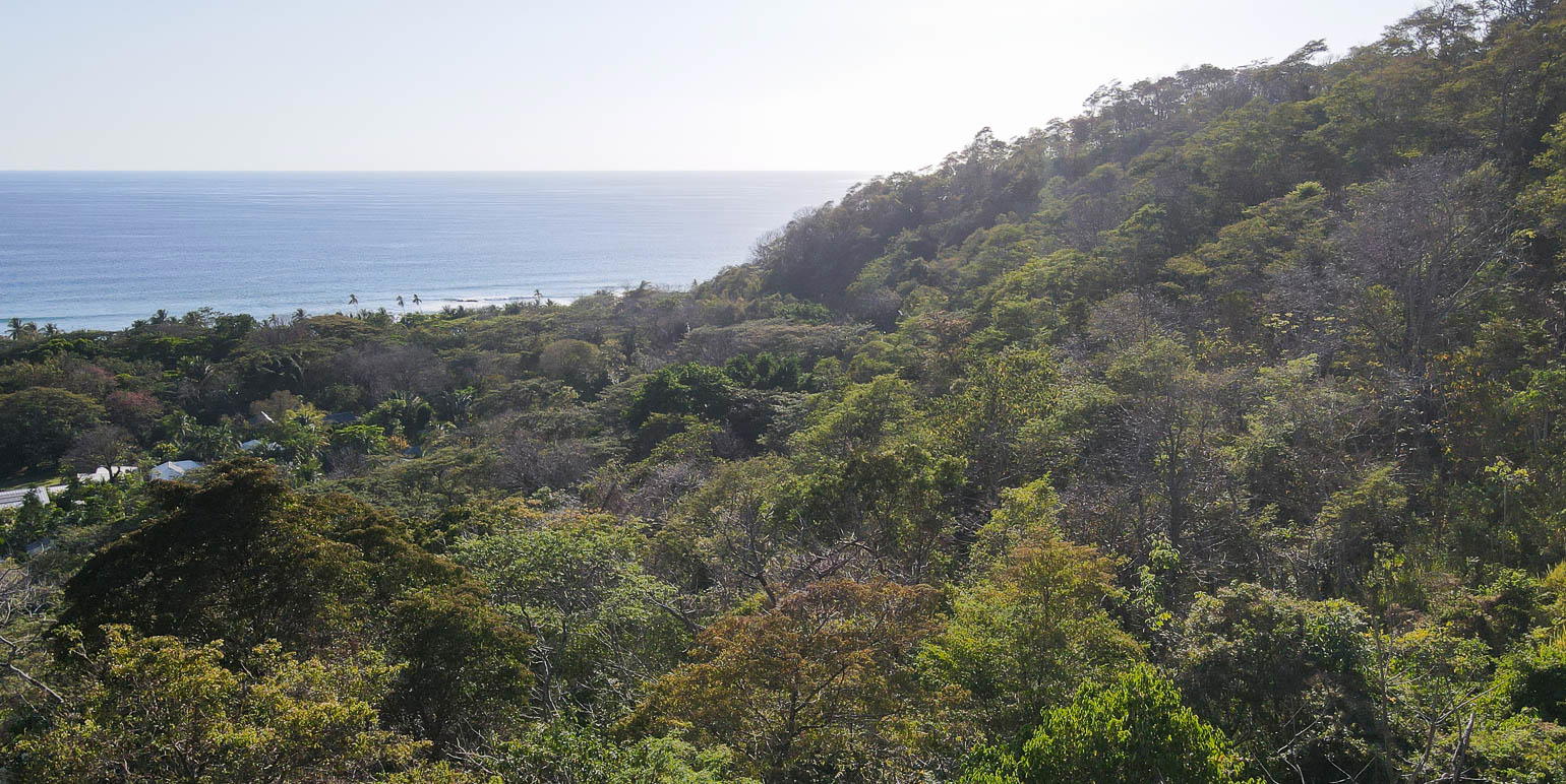 Property at Jacó