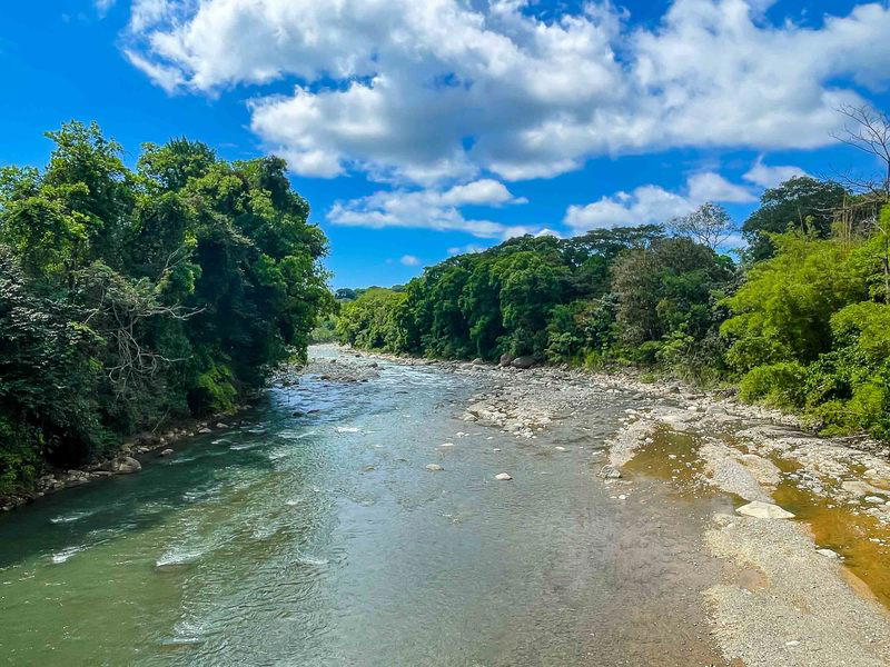 Land at Naranjito
