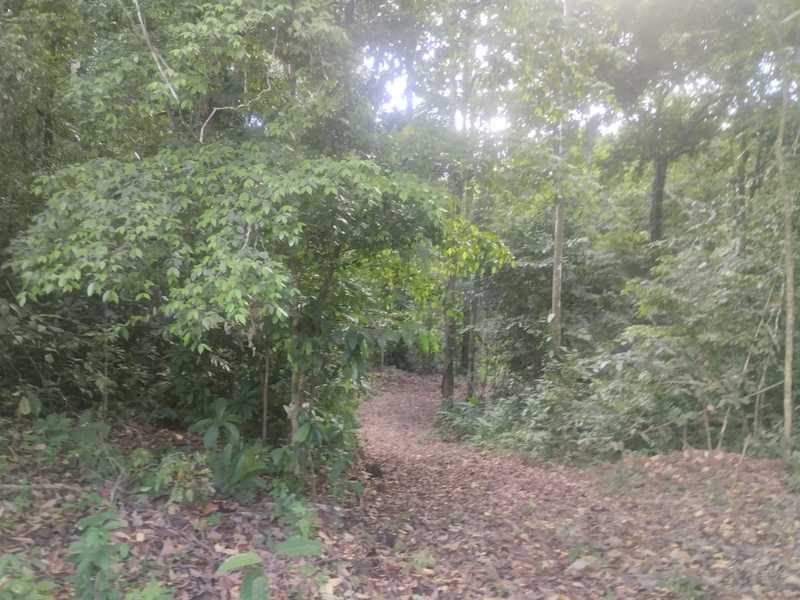 Land at Puntarenas