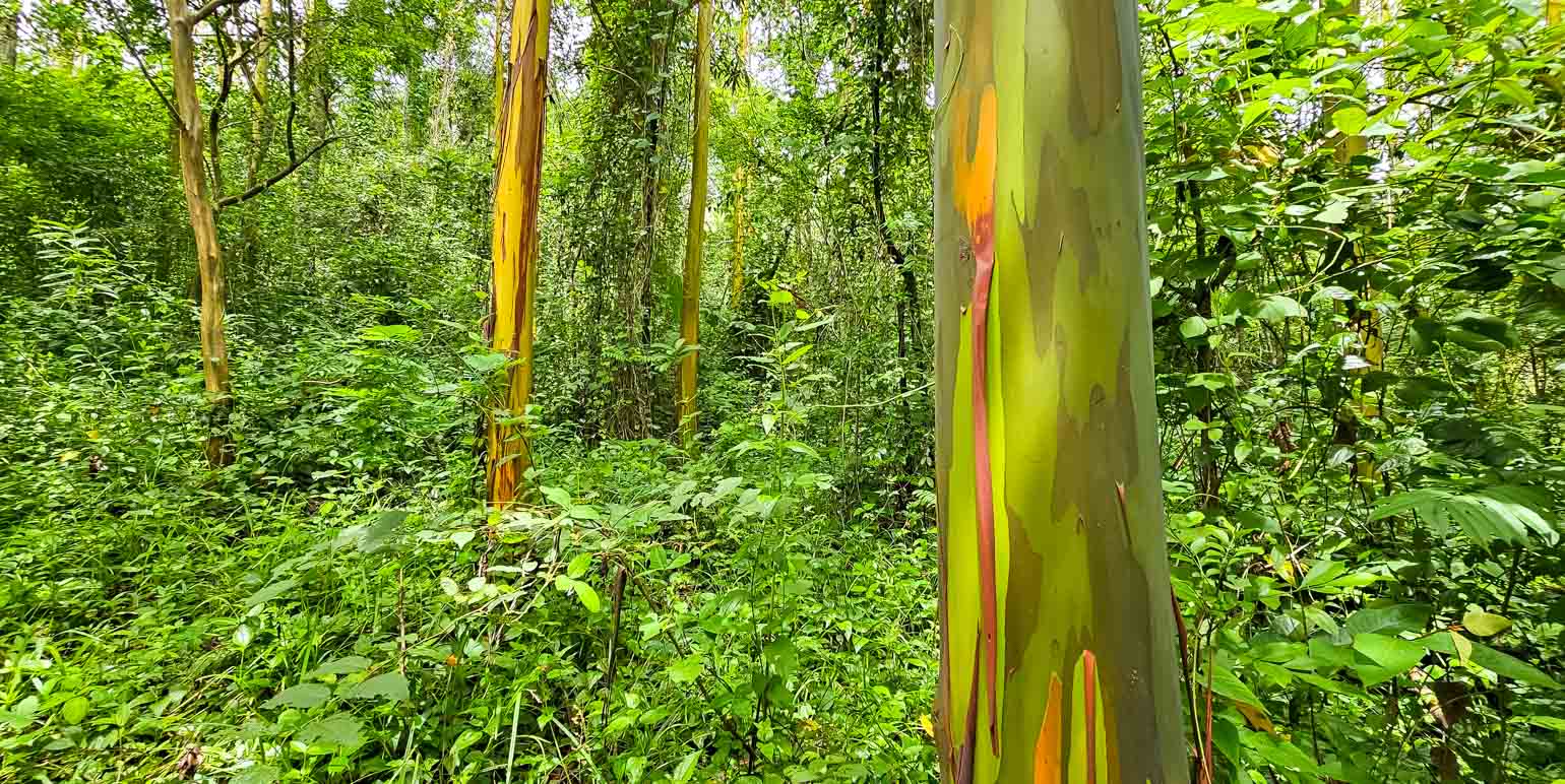 Propiedad en Santiago