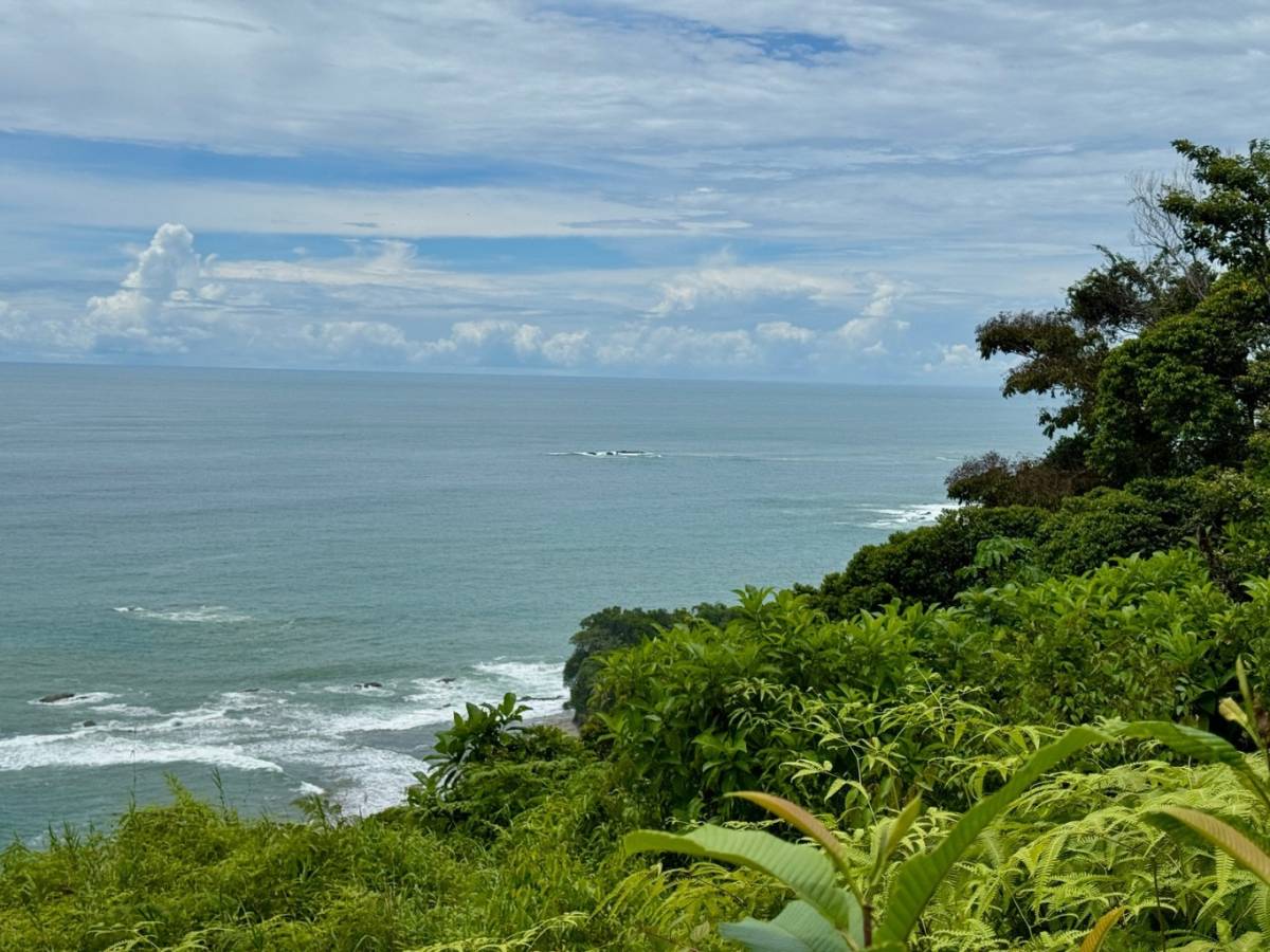 Property at Dominicalito