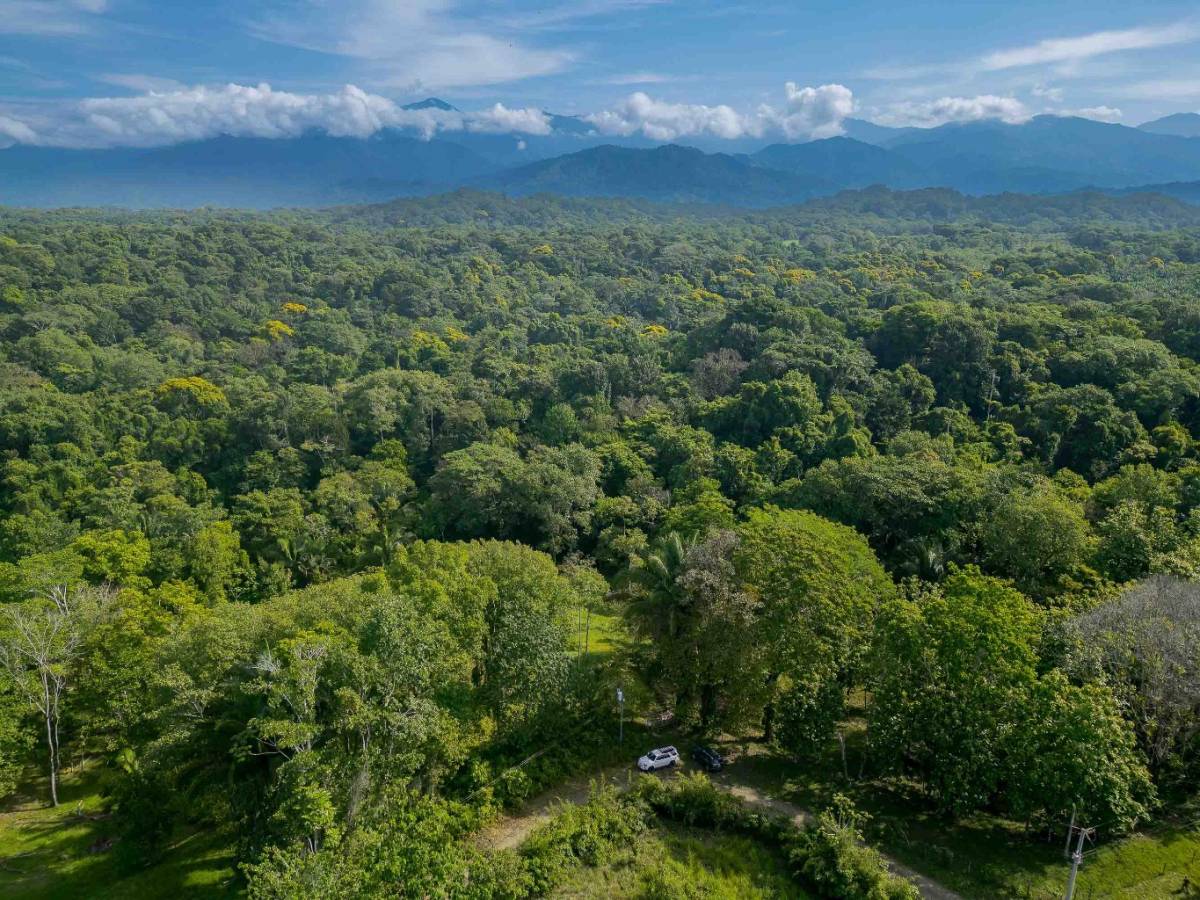 Property at Manuel Antonio