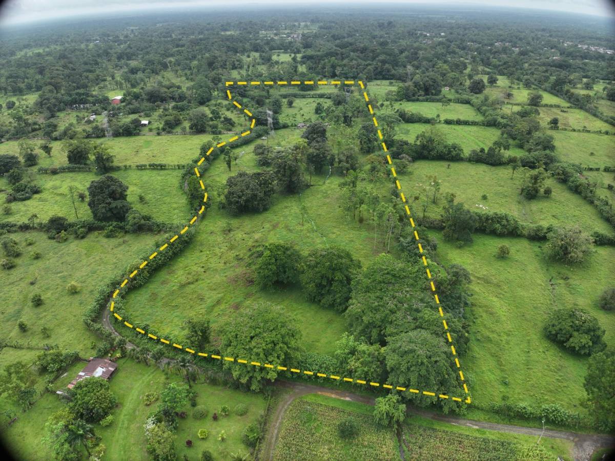 Finca en Guápiles