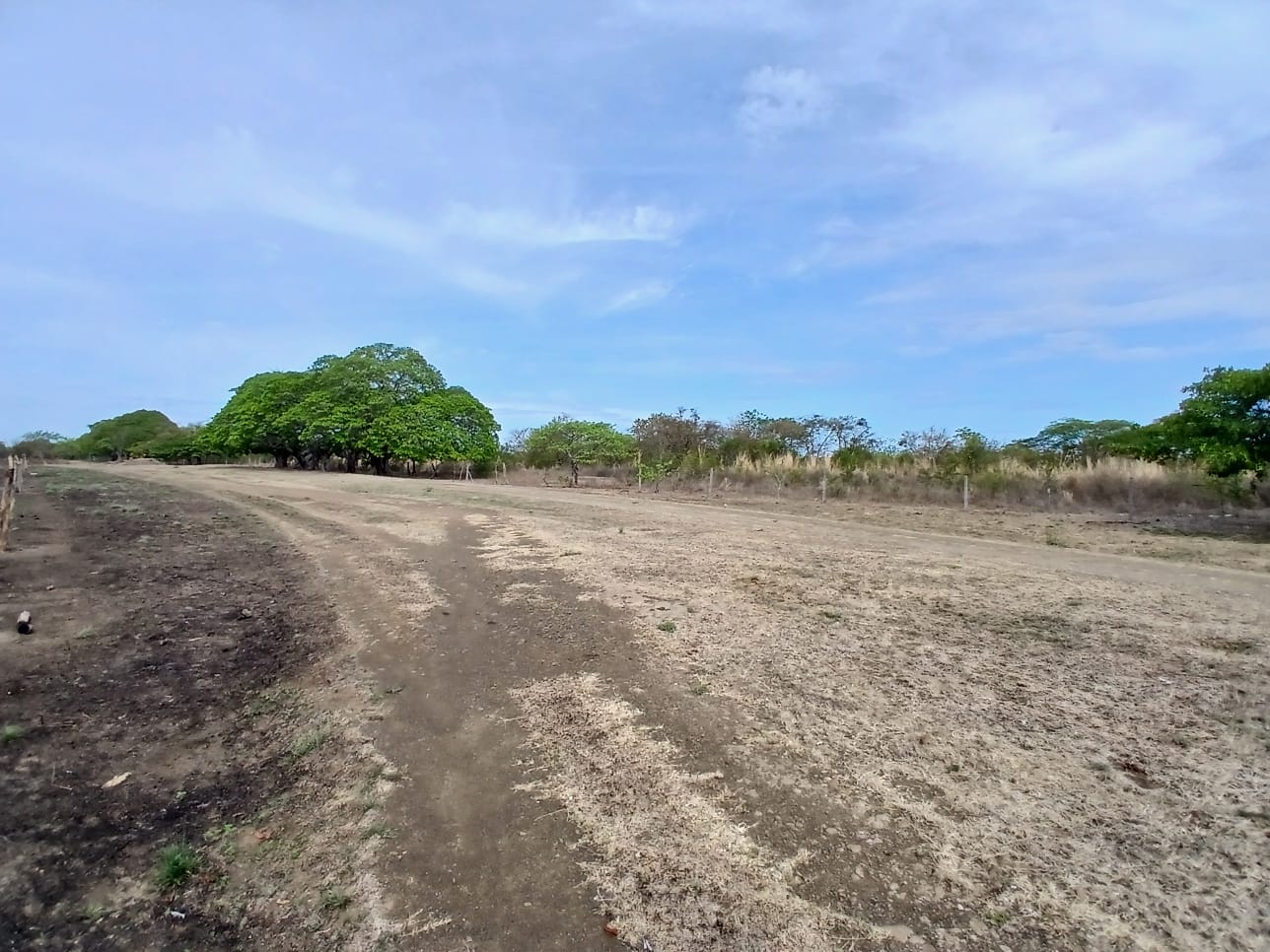 Land at Nacascolo