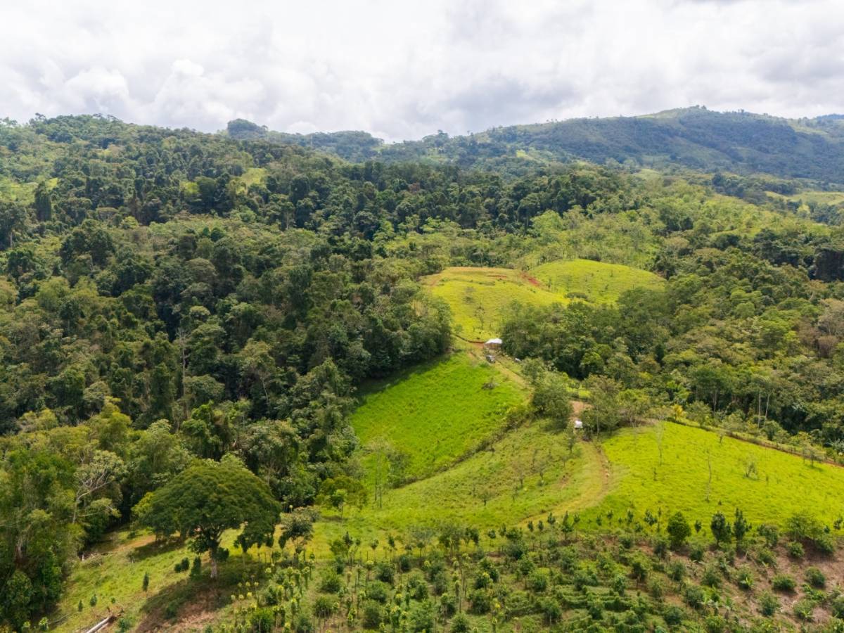 Finca en San Isidro del General