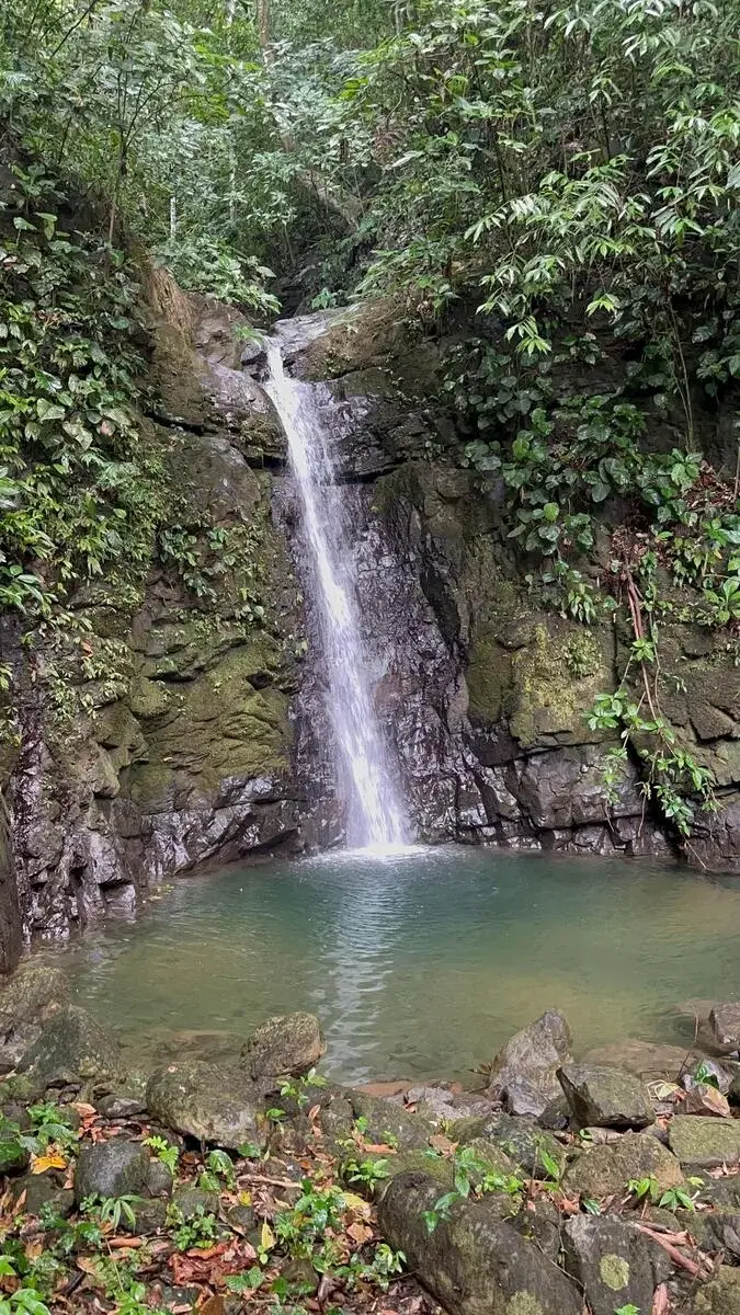 Land at Bahía Ballena