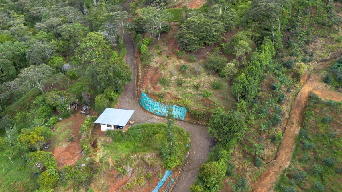 Finca en San Isidro del General