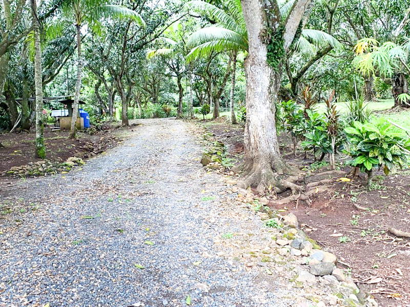 Terreno en Orotina