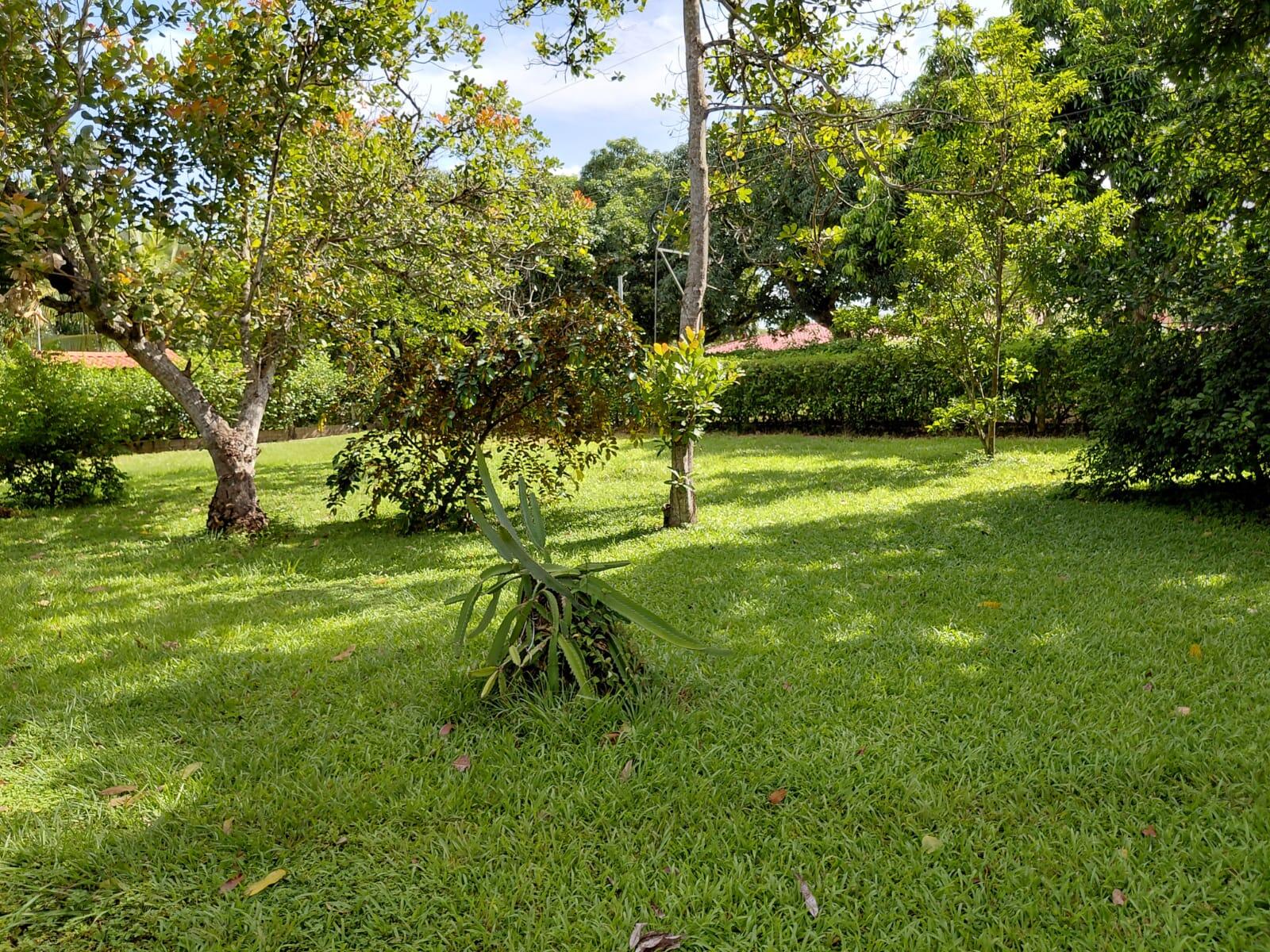 Propiedad en La Ceiba
