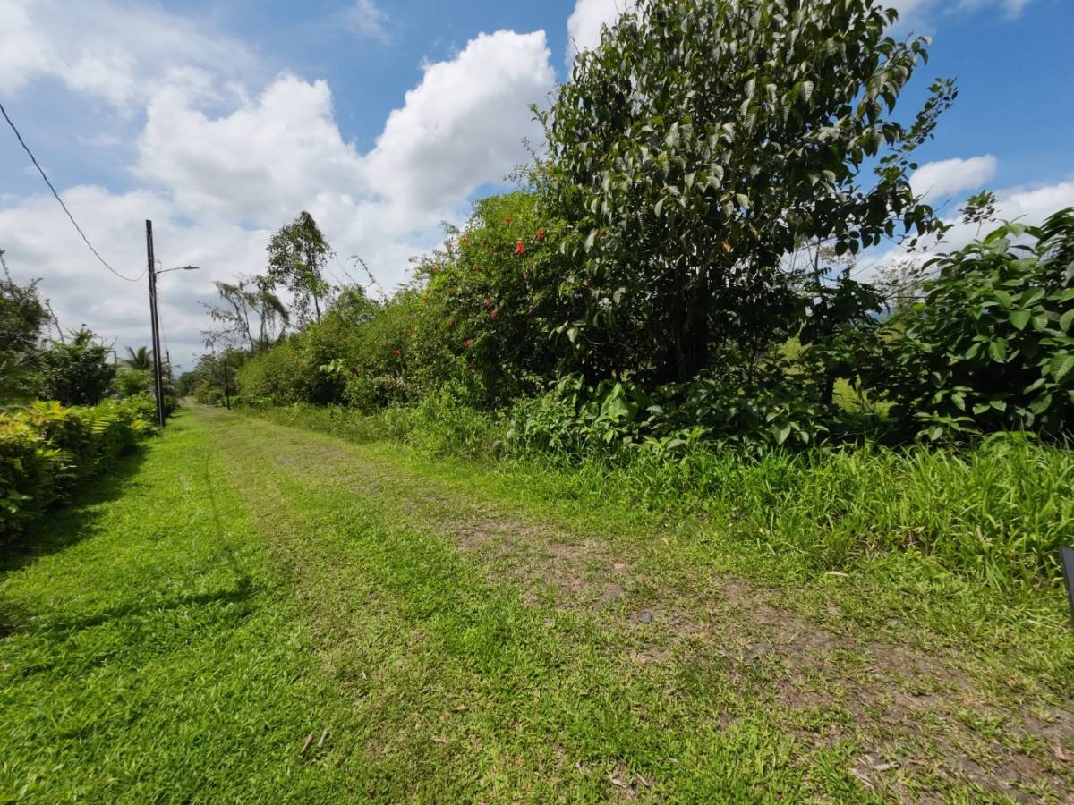 Finca en San Ramón