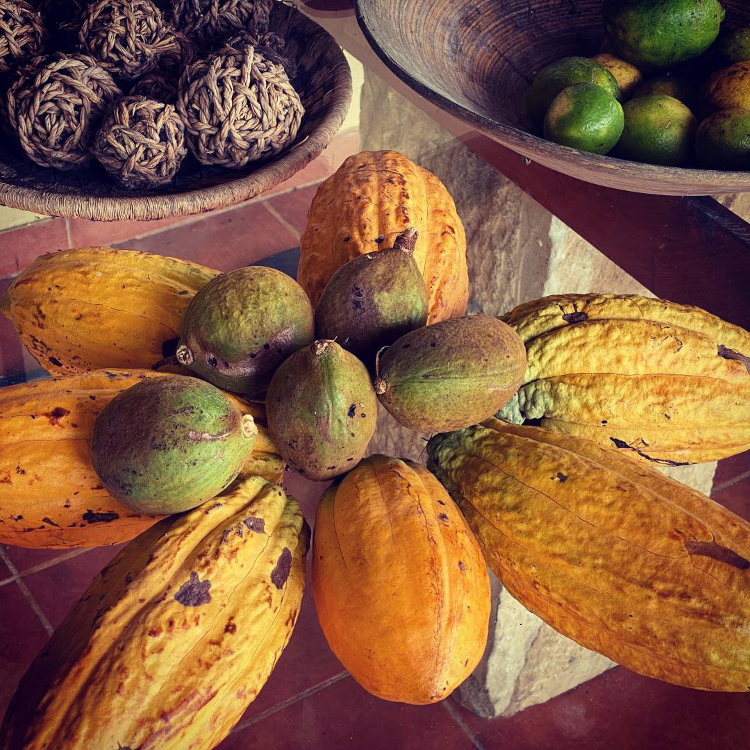 Finca en Rita