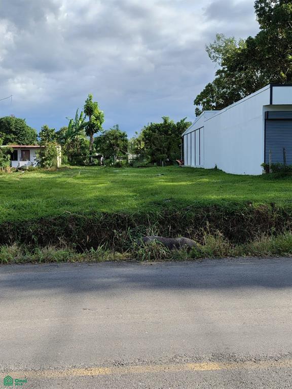Land at Pococi