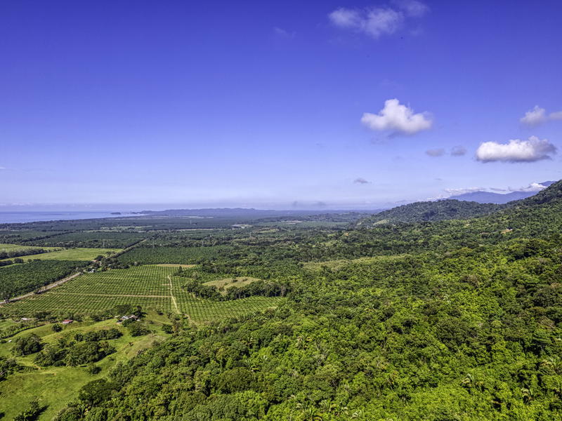 Land at Savegre