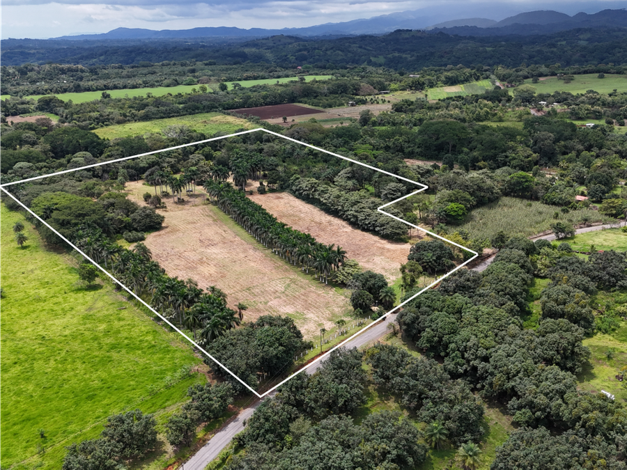 Finca en Orotina