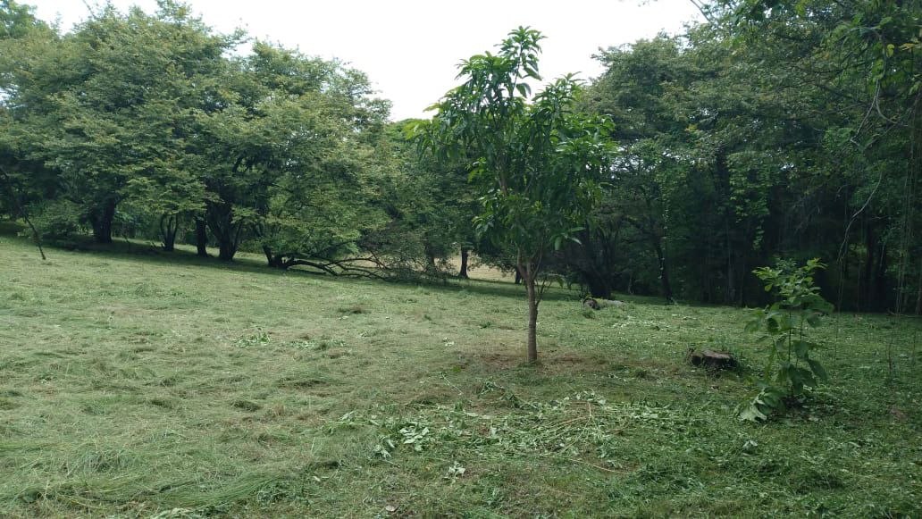 Terreno en Jacó