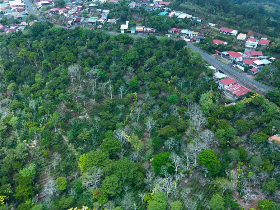 Finca en Alfaro