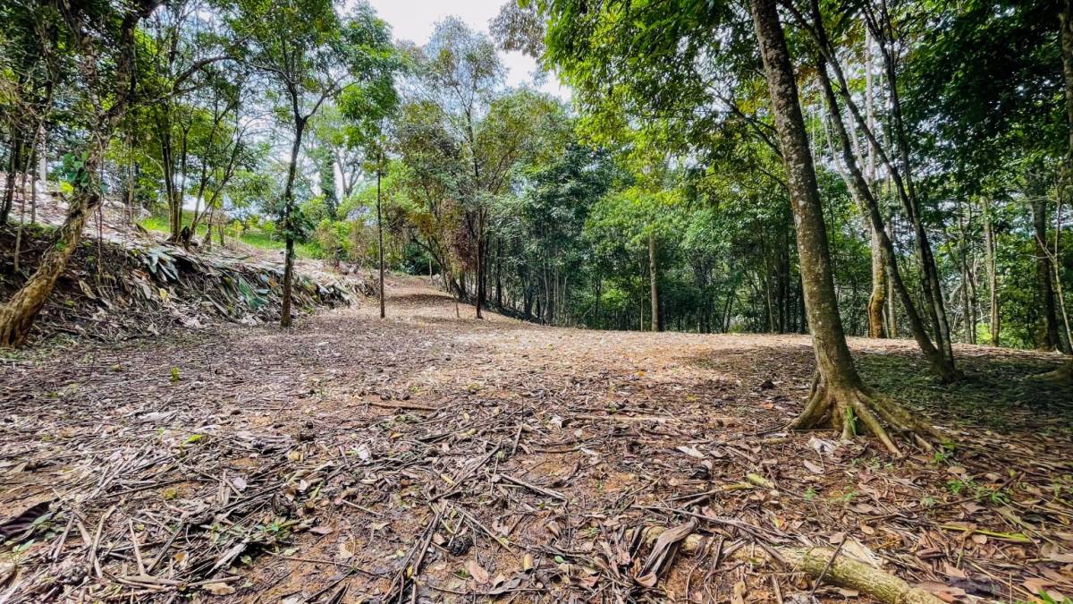 Finca en Ojochal