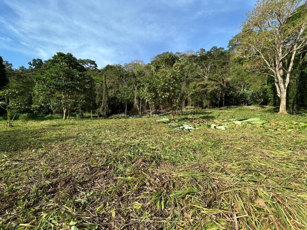 Propiedad en Hone Creek